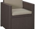 Fauteuil Jardin Resine Nouveau Allibert Victoria Dining Fauteuil De Jardin En Plastique 65