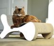 Fauteuil Tressé Frais Molecular Fauteuil Design Cat Scratcher