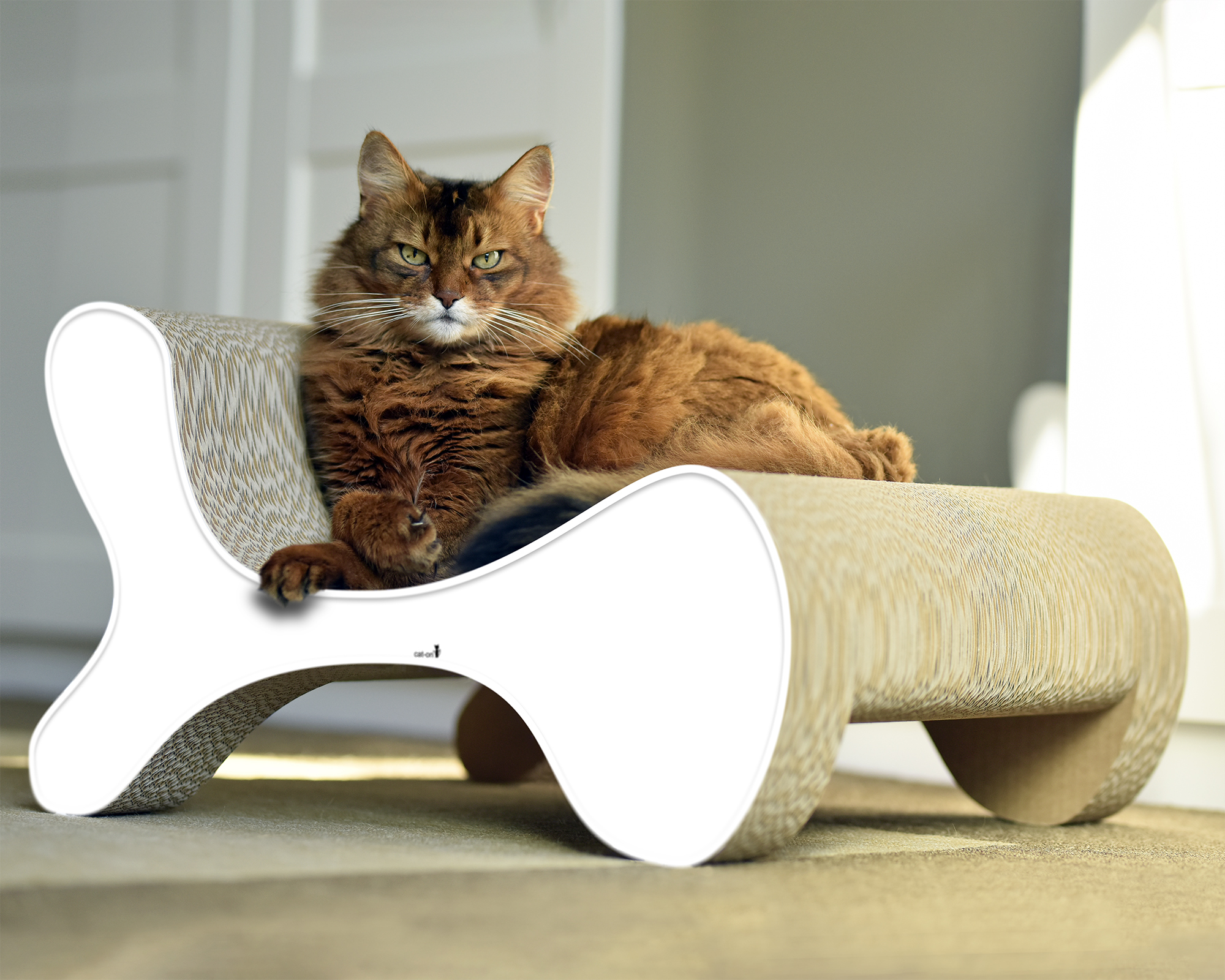 Fauteuil Tressé Frais Molecular Fauteuil Design Cat Scratcher