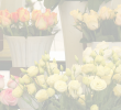 Foire Fouille Salon De Jardin Génial Flower Shop 1 Most Affordable Floral Network