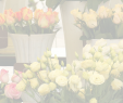 Foire Fouille Salon De Jardin Génial Flower Shop 1 Most Affordable Floral Network