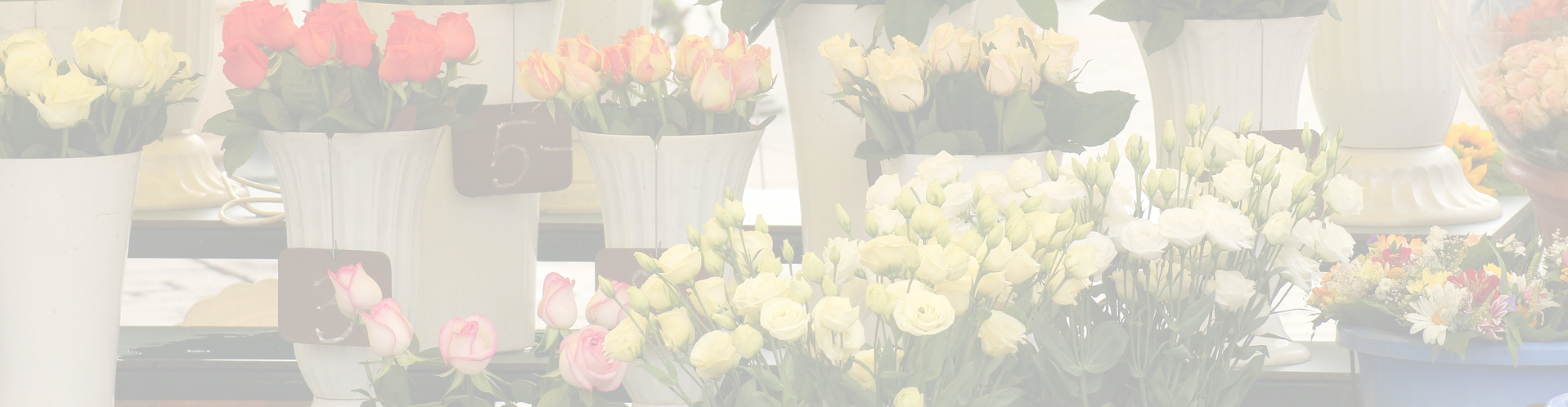 flowers Banner background