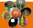 Gamm Vert Salon De Jardin Beau Lampe Escargot Energie solaire Led Deco Jardin Exterieur