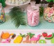 Gifi Inspirant Sweet Table Th¨me "tropical" Pour Gifi Par Studio Candy