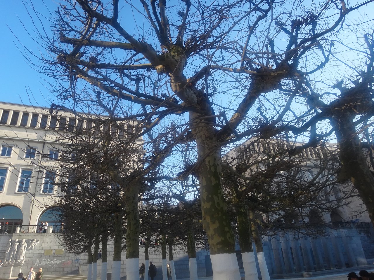 jardin du mont des arts