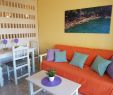 Grande Table Jardin Luxe Apartment Sun Studio Puerto De La Cruz Spain Booking