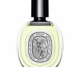 Hesperide Salon Jardin Charmant Diptyque