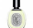 Hesperides Salon Jardin Nouveau Diptyque