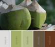 Idee Palette Luxe Color Palette Ideas Icolorpalette Colors Inspiration