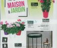 Jardi Leclerc Ajaccio Beau Catalogue Leclerc Jardin 2019