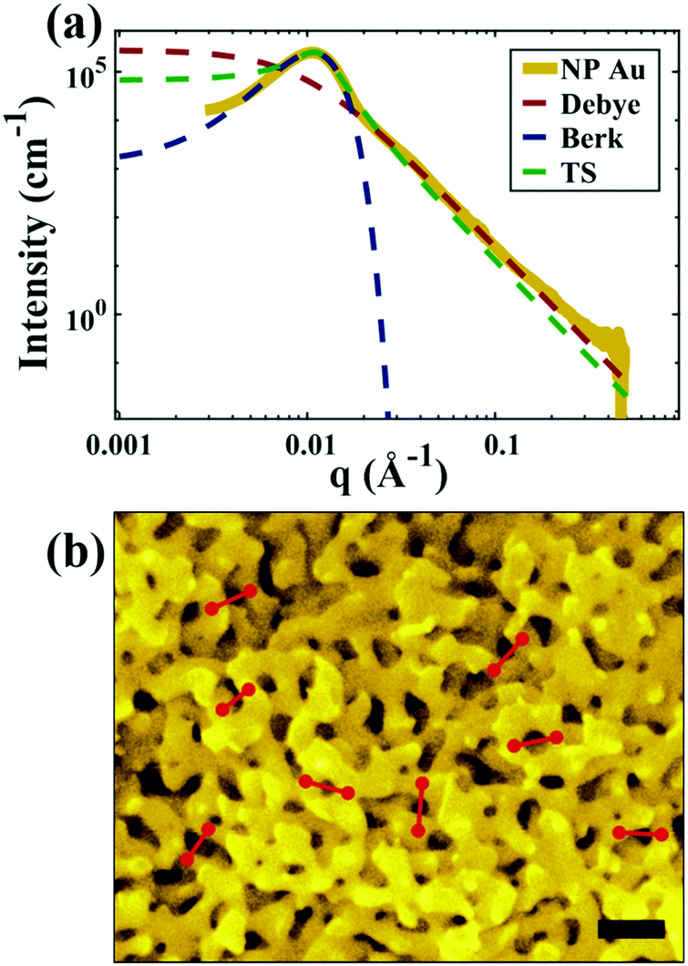 Jardin Promo Unique Small Angle X Ray Scattering Of Nanoporous Materials