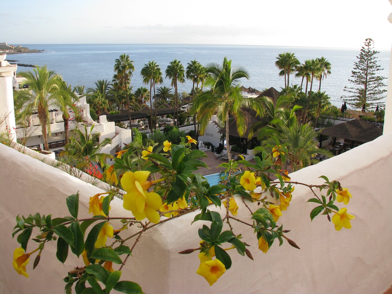 hotel jardin tropical