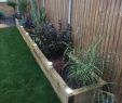 Jardiner Debout Inspirant Garden Screening Ideas Discover Motivation for Modern