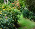 Jardinier Pas Cher Élégant Jardin D atmosphere Du Petit Bordeaux Pays De La Loire