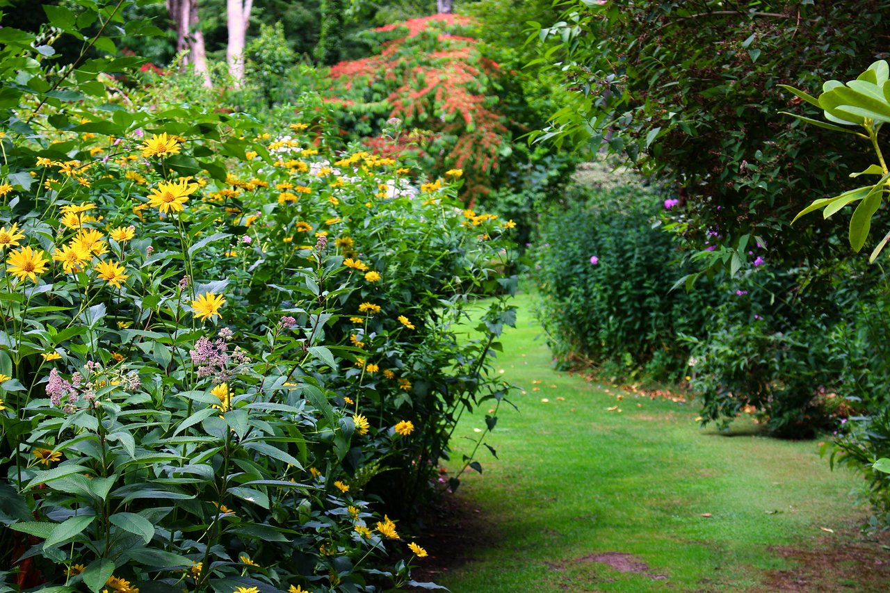 Jardinier Pas Cher Élégant Jardin D atmosphere Du Petit Bordeaux Pays De La Loire