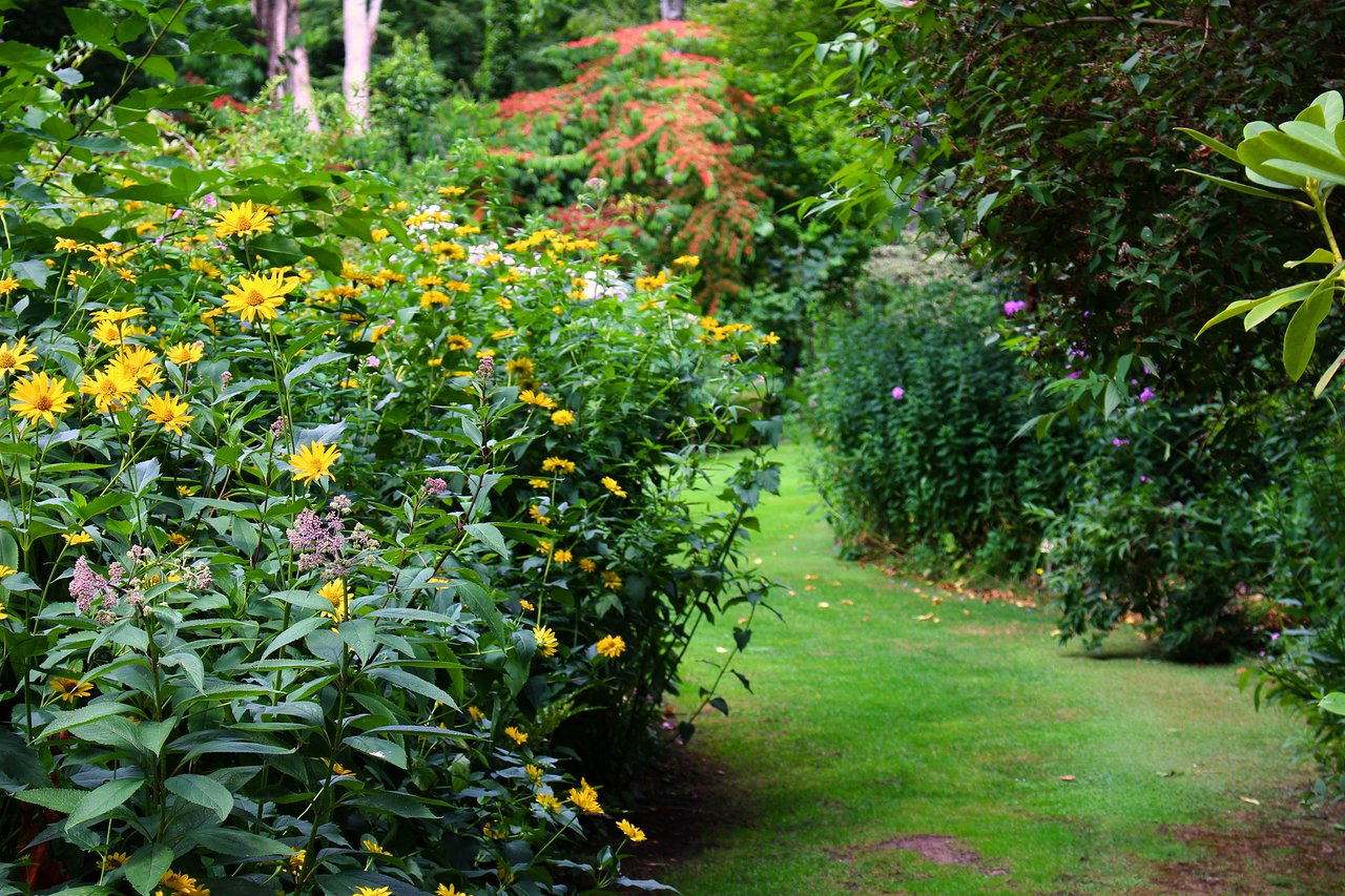 jardin du petit bordeaux