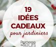 Jardinier Pas Cher Génial Idées Cadeau Jardin Faire Plaisir   Coup S R