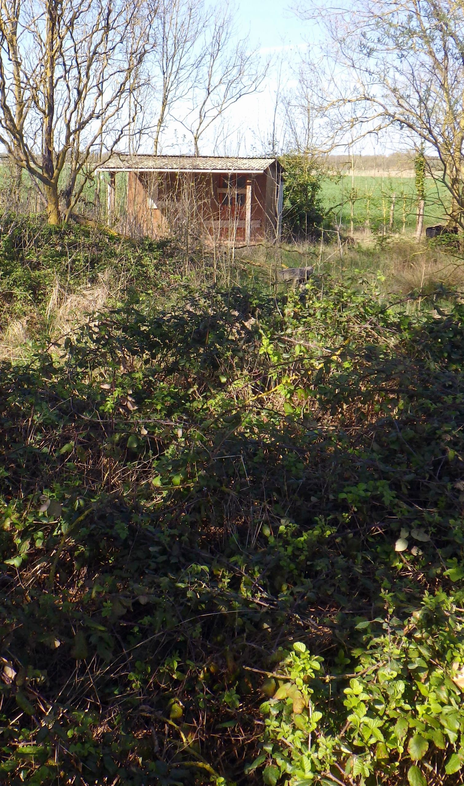 le bon coin jardinage 72 inspirant le bon coin cabane de jardin le bon coin jardinage awesome le bon of le bon coin jardinage 72