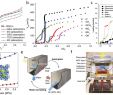 Leclerc Market Unique atomic‐ and Molecular‐level Design Of Functional Metal