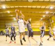 Leclerc Sport Nouveau Basket – Pré Nationale Féminine Un Quatuor De Tªte Bousculé