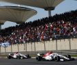 Leclerc Sport Unique Marcus Ericsson and Charles Leclerc On Track During the 2018