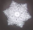 Leclerc Voyage Charmant Masaru Emoto Water Crystals