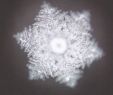 Leclerc Voyage Charmant Masaru Emoto Water Crystals