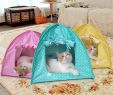 Lit Exterieur Jardin Inspirant Tente Pliante De Chat D Animal Familier Jouant Le Lit   La Maison De Camp De Kitty Imperméable   L Eau De Chenil Extérieur