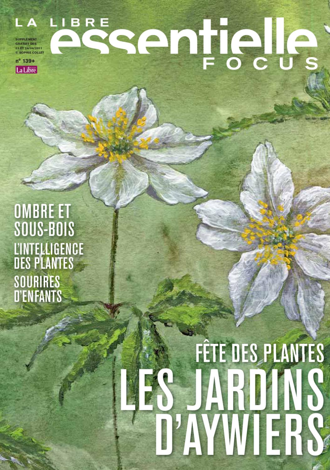 Meridienne De Jardin Beau Essentielle Focus Du 23 Avril 2011 by S A Ipm issuu