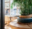 Meuble De Jardin Design Inspirant Restaurants Kokteil Bar S