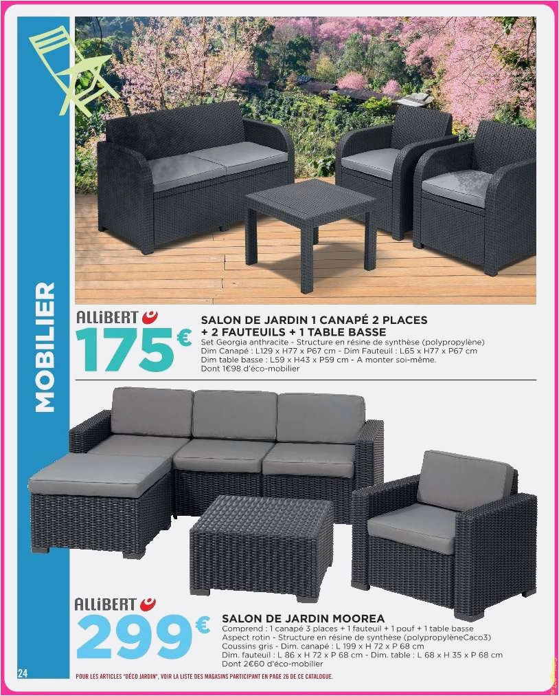 Meuble En Resine Beau 73 Frais Salon De Jardin Leclerc Catalogue 2017