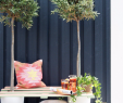 Meubles De Jardin En Palettes Inspirant Déco Balcon Idées Diy Pour Relooking Récup