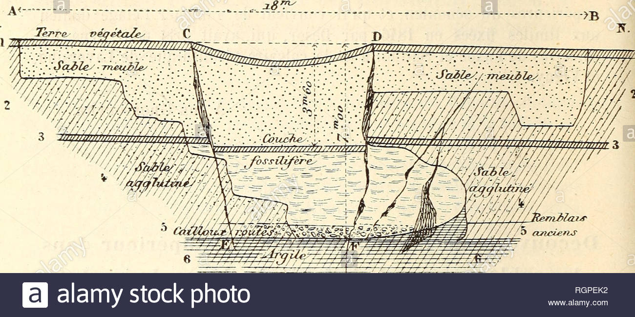 bulletin de la socit des sciences naturelles de louest de la france natural history 76 socit des sciences naturelles de louest flg t lgende 1 terre vgtale 0quot 10 0m 40 2 sable rouge meuble 3m 50 3 blanc fossilifre 0m 15 0quot 20 4 sable rouge agglutin par loxyde de fer 2quot 5 cailloux rouls et minerai de fer lm 6 argile la petite couche fossilifre nu 3 est forme de grosses godes dhmatite cimentes ensemble de manire former une couche continue les vides sont remplis dargile et de sable les parois sont tapisses RGPEK2