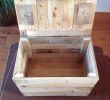 Mobilier De Jardin En Palette Luxe Chest Of Pallets Diy