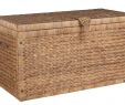 Mobilier De Jardin Pas Cher Nouveau Malle Bout De Lit Jacinthe Naturel Panier but