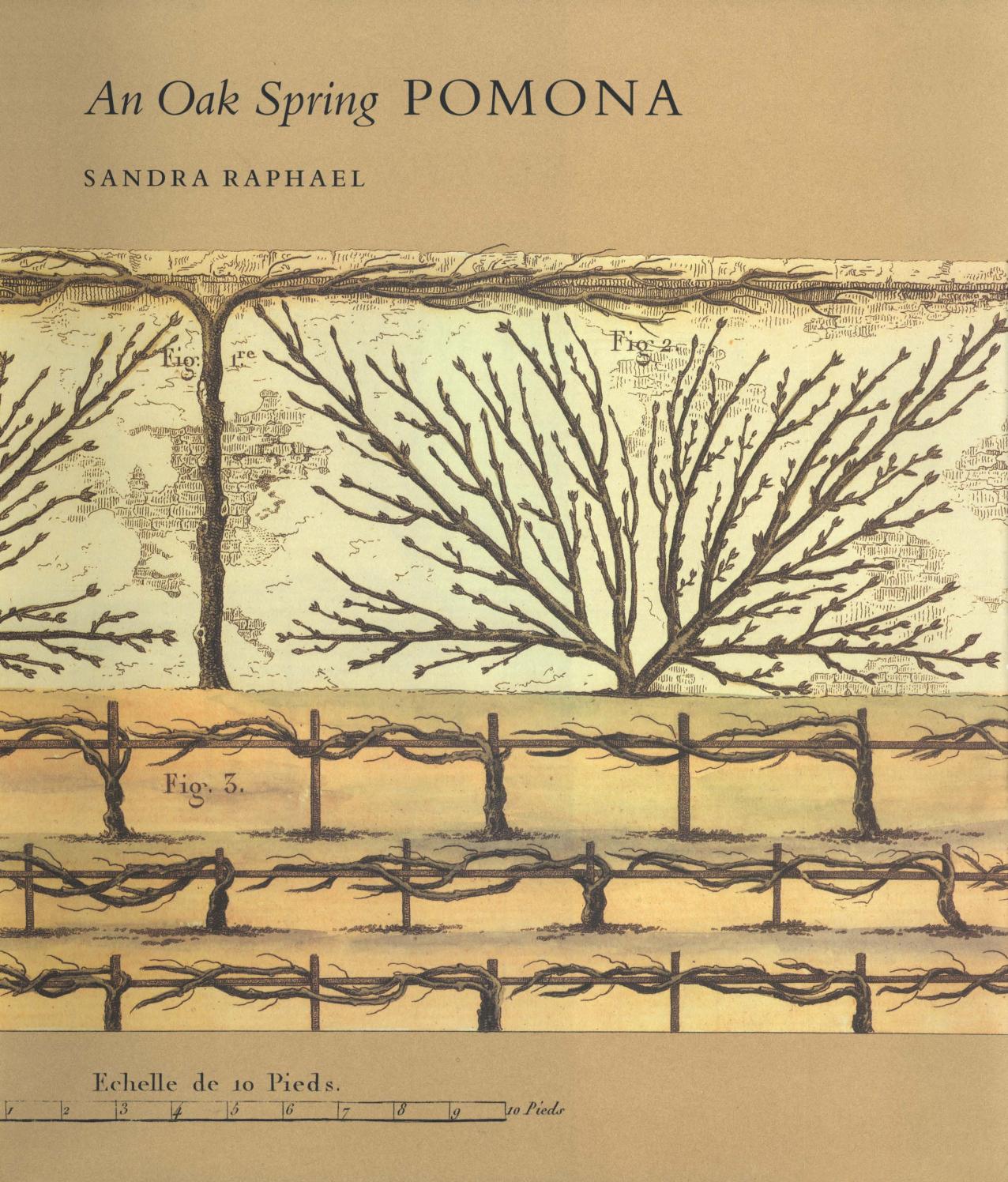 Mobilier Hesperide Charmant An Oak Spring Pomona by Oak Spring Garden Foundation issuu