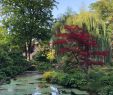 Petit Salon De Jardin Charmant Chateau De Courances 2020 All You Need to Know before You