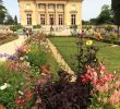 Petit Salon Jardin Élégant An afternoon at the Gardens Of Versailles