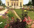 Petit Salon Jardin Élégant An afternoon at the Gardens Of Versailles