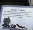 Plan De Chaise En Bois Gratuit Luxe Jardin Flottant Niki De Saint Phalle Paris 2020 Ce Qu Il