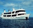 Promo Jardin Frais Mv Odyssey Liveaboard