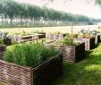 Promo Jardin Luxe Habillez Votre Jardin Avec Nos Carrés Potagers En Noisetier