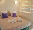 Promo Salon Jardin Unique Apartment Sun Studio Puerto De La Cruz Spain Booking