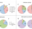 Promotion Table De Jardin Unique Microorganisms Free Full Text