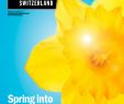 Sal9n De Jardin Génial Spring 2018 by Time Out Switzerland issuu