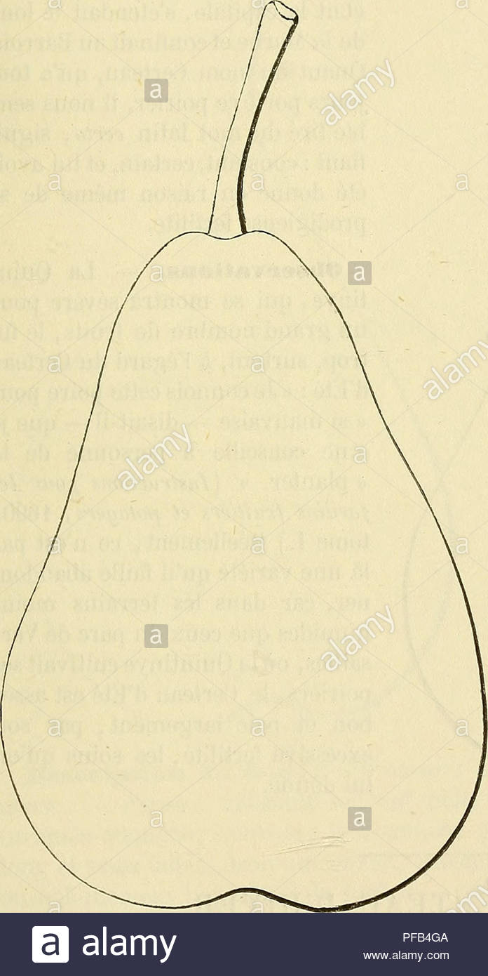 dictionnaire de pomologie contenant lhistoire la description la figure des fruits anciens et des fruits modernes les plus gnralement connus et cultivs fruit cer 539 333 poire certeau dt syaonymes poires 1 de champagne dt charles estienne seminarium et plantarium fiucti fer arum prsertim arborum qu post hortos conseri soient 1540 p 69 2 colore daot alexandre bivort catalogue descriptif 1851 p 20 3 gkos certeau dt decaisne le jardin fruitier du musum 1859 t ii 4 courte dersol id ibid 5 emmanuel dt id ibid PFB4GA