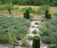 Salin De Jardin Charmant the Provence Post August 2012