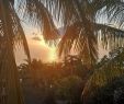 Salin De Jardin Nouveau Le Balcon Creole B&b Reviews Saint Leu Reunion island