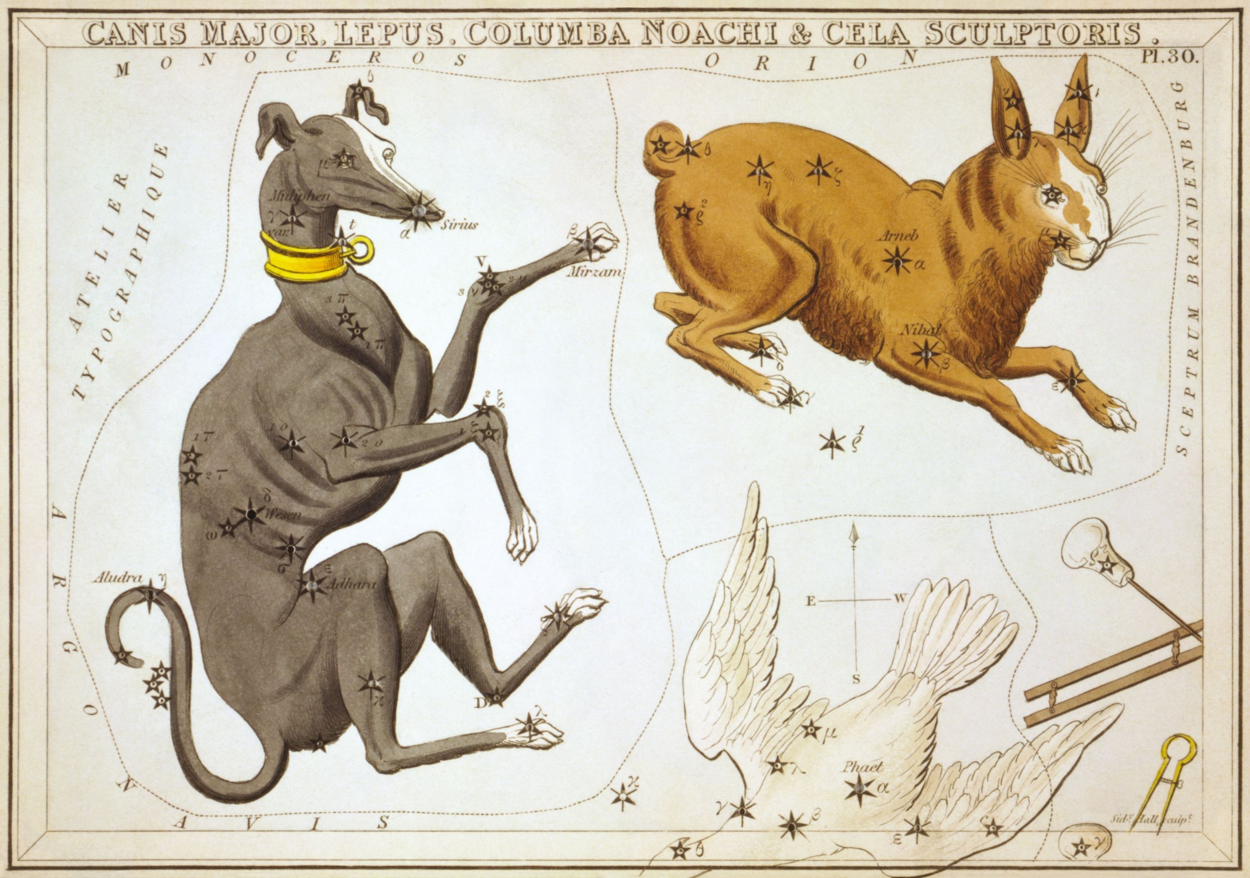 Sidney Hall Urania s Mirror Canis Major Lepus Columba Noachi & Cela Sculptoris