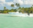 Salon De Jardin Arrondi Charmant Voyage Aux Bahamas Un Archipel Méconnu